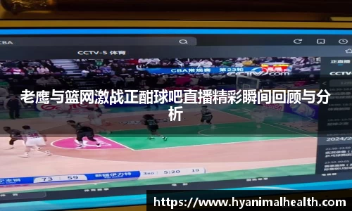 老鹰与篮网激战正酣球吧直播精彩瞬间回顾与分析