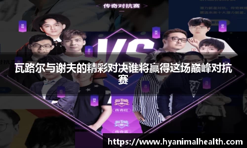 瓦路尔与谢夫的精彩对决谁将赢得这场巅峰对抗赛