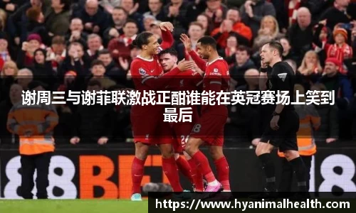 谢周三与谢菲联激战正酣谁能在英冠赛场上笑到最后