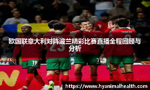 欧国联意大利对阵波兰精彩比赛直播全程回顾与分析